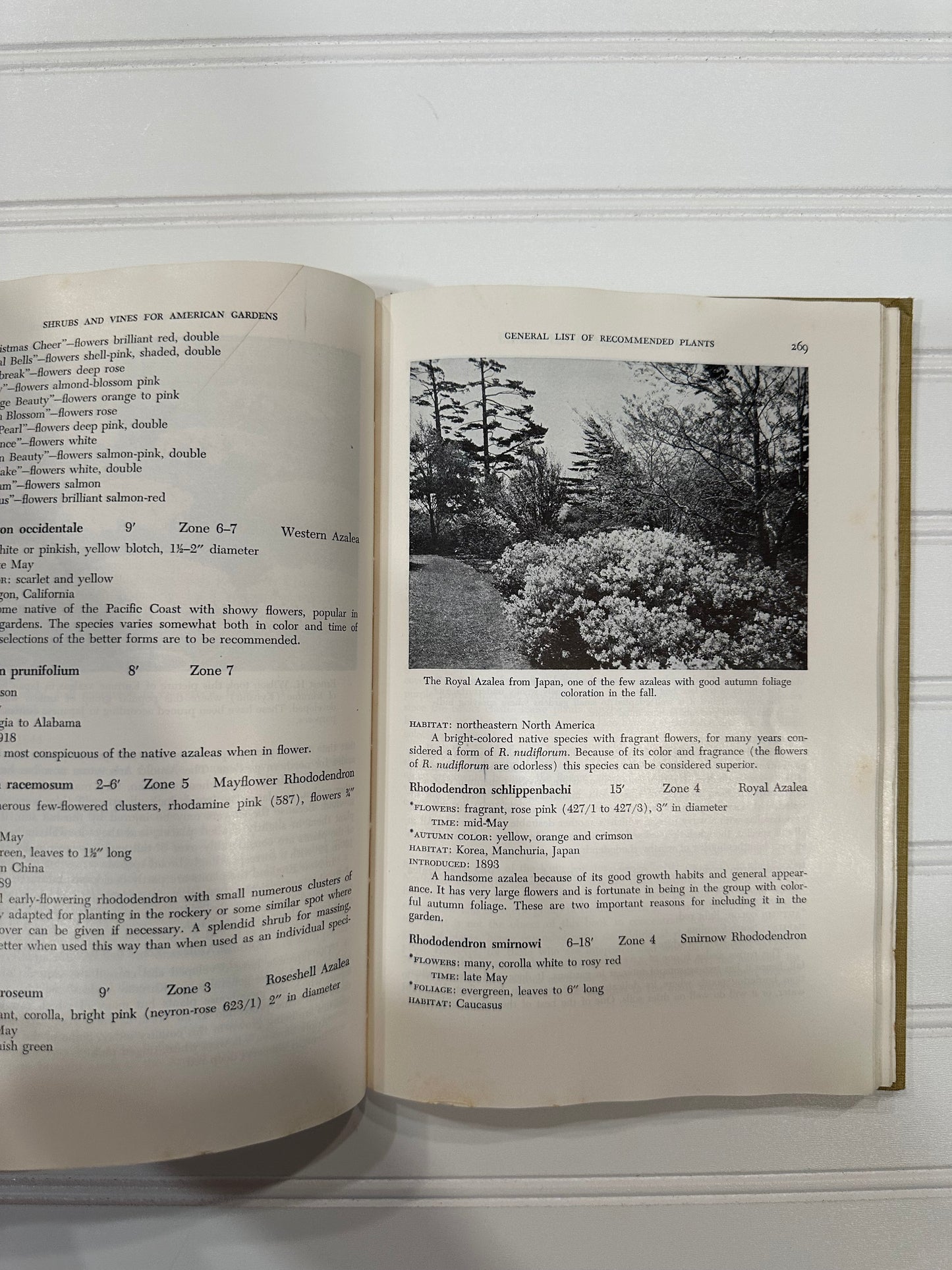 1949 Shrubs and Vines for American Gardens