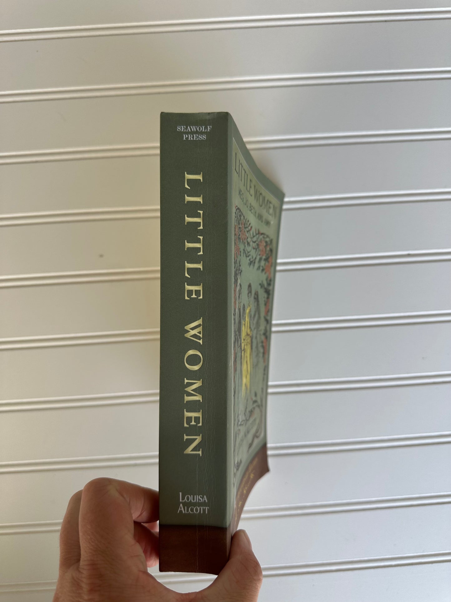 2019 Little Women book