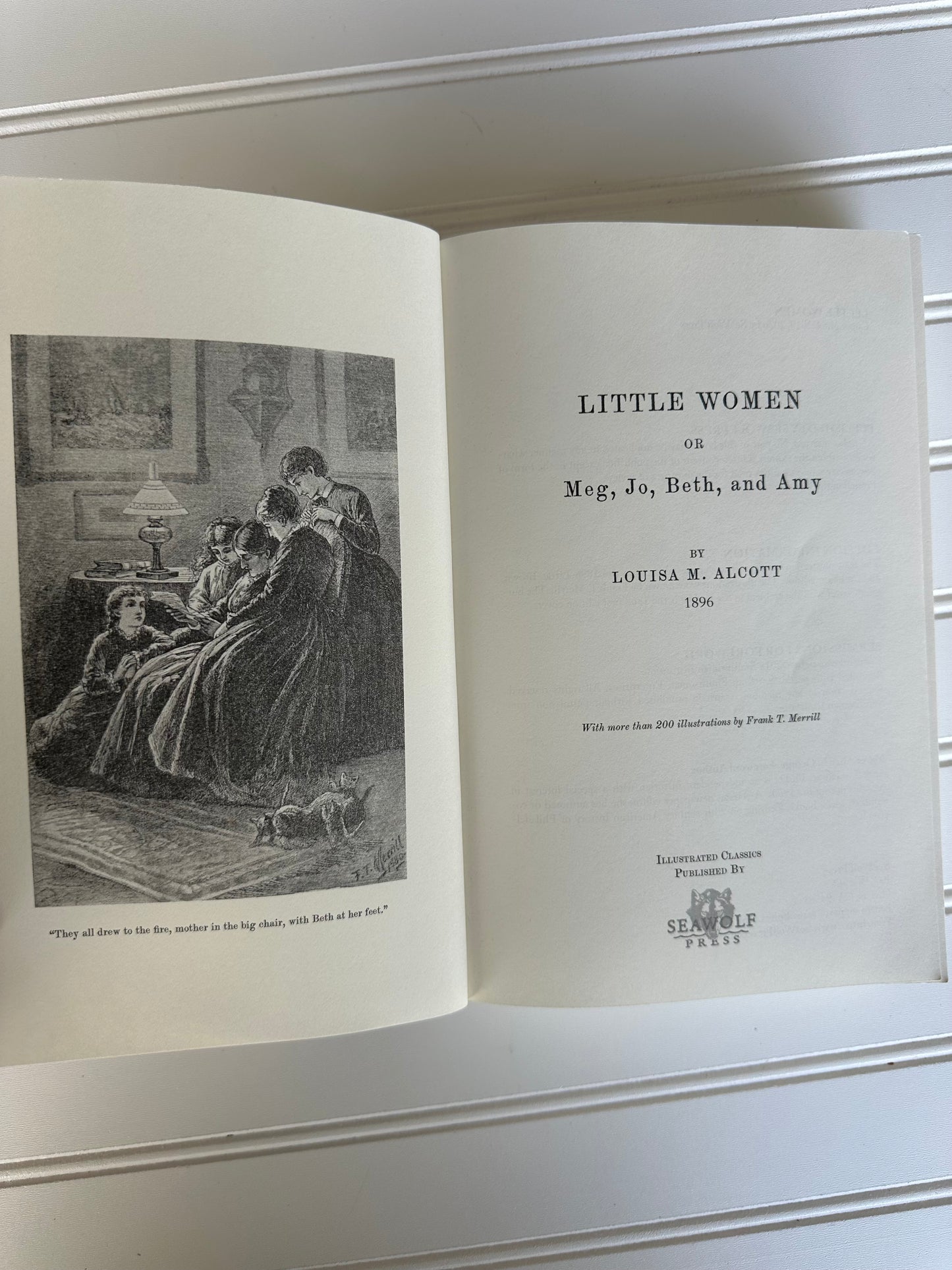 2019 Little Women book