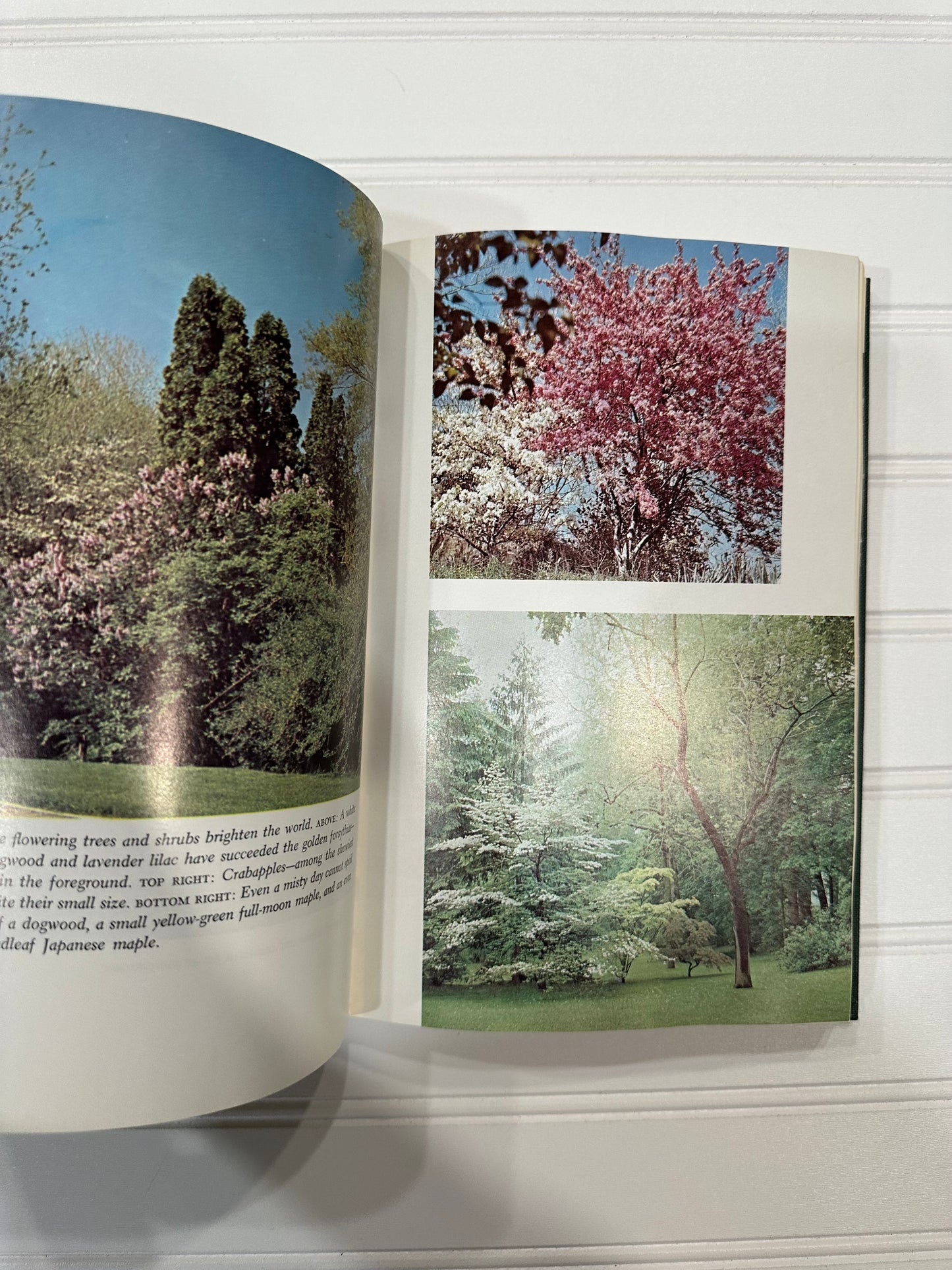 1973 Gardeners Basic Book of Trees and Shrubs