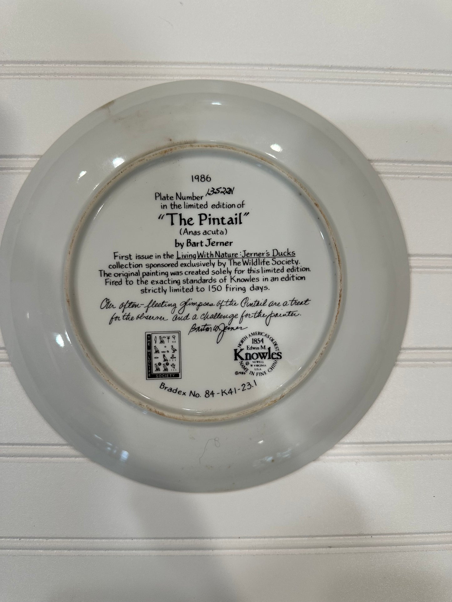 Decorative duck plate