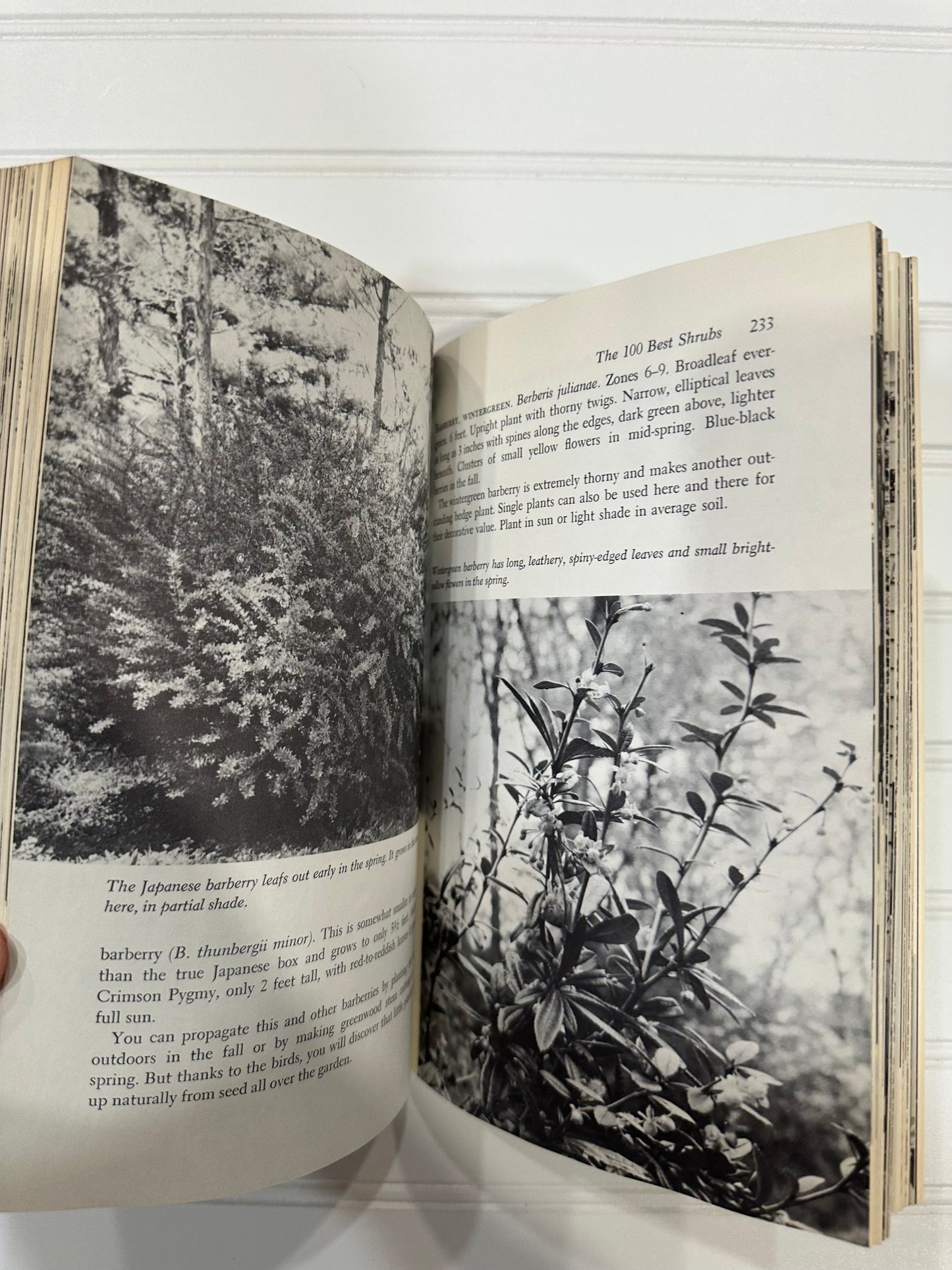 1973 Gardeners Basic Book of Trees and Shrubs