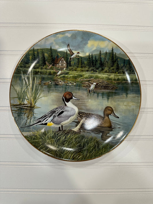 Decorative duck plate